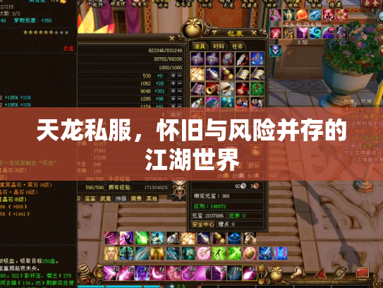 天龙私服，怀旧与风险并存的江湖世界