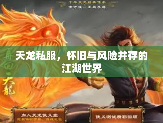 天龙私服，怀旧与风险并存的江湖世界