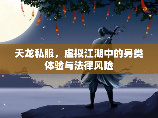 天龙私服，虚拟江湖中的另类体验与法律风险