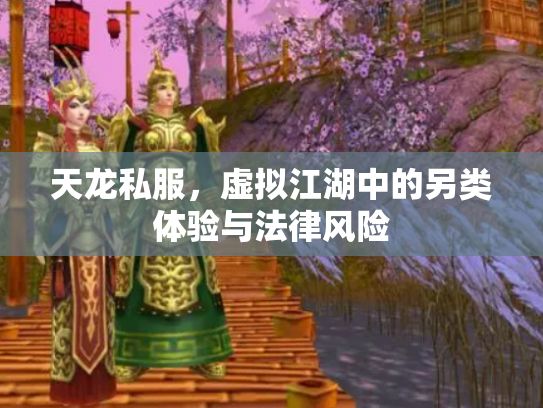 天龙私服，虚拟江湖中的另类体验与法律风险