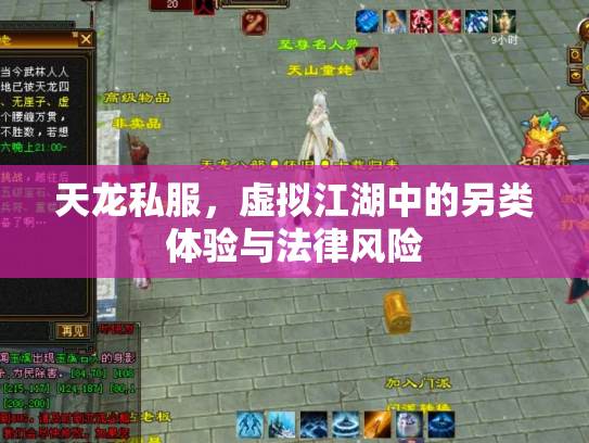 天龙私服，虚拟江湖中的另类体验与法律风险