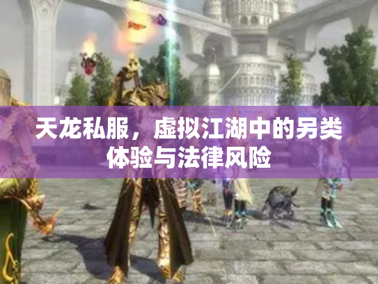 天龙私服，虚拟江湖中的另类体验与法律风险