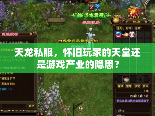 天龙私服，怀旧玩家的天堂还是游戏产业的隐患？