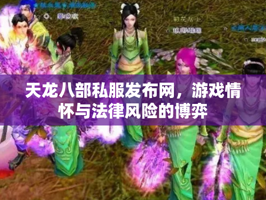 天龙八部私服发布网，游戏情怀与法律风险的博弈