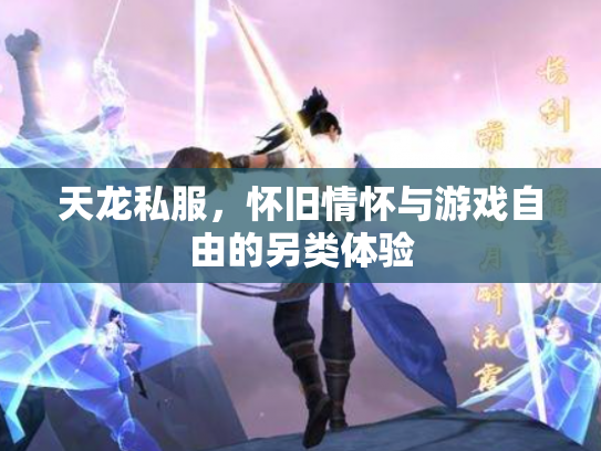 天龙私服，怀旧情怀与游戏自由的另类体验