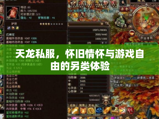 天龙私服，怀旧情怀与游戏自由的另类体验