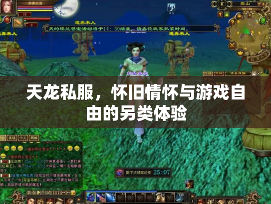天龙私服，怀旧情怀与游戏自由的另类体验