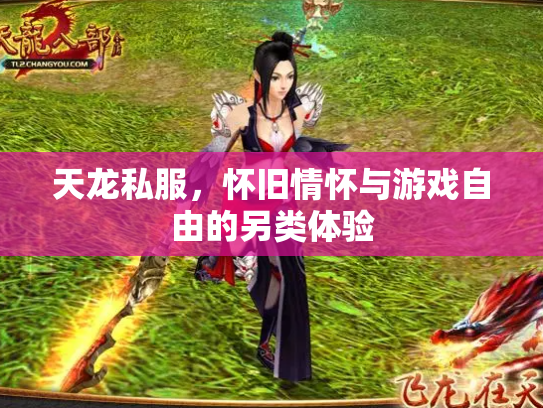 天龙私服，怀旧情怀与游戏自由的另类体验