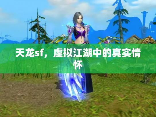 天龙sf，虚拟江湖中的真实情怀