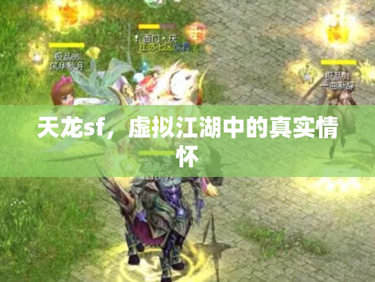 天龙sf，虚拟江湖中的真实情怀