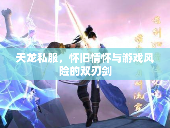 天龙私服，怀旧情怀与游戏风险的双刃剑