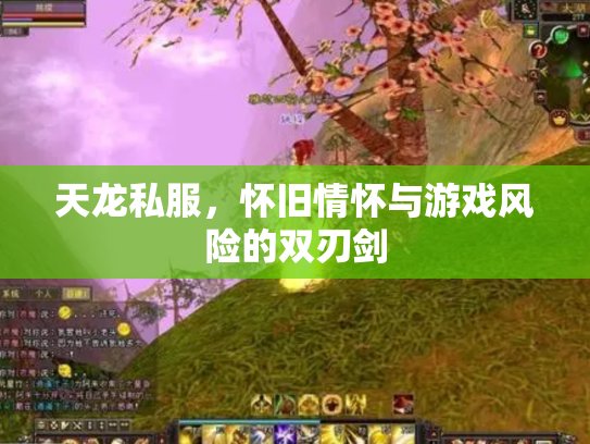 天龙私服，怀旧情怀与游戏风险的双刃剑
