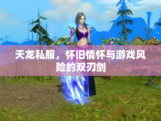 天龙私服，怀旧情怀与游戏风险的双刃剑