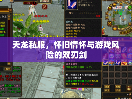 天龙私服，怀旧情怀与游戏风险的双刃剑