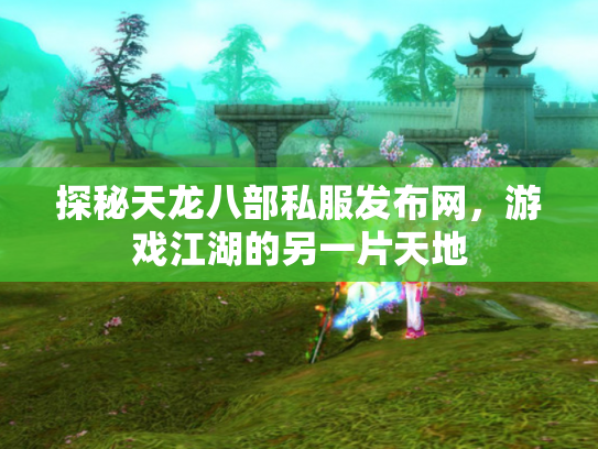 探秘天龙八部私服发布网，游戏江湖的另一片天地