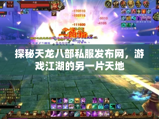 探秘天龙八部私服发布网，游戏江湖的另一片天地