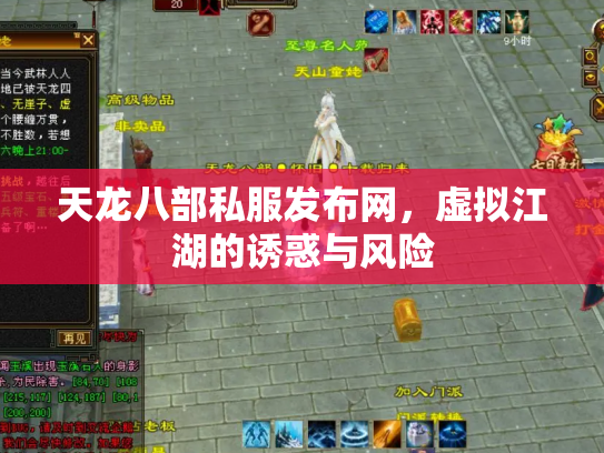天龙八部私服发布网，虚拟江湖的诱惑与风险