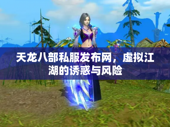 天龙八部私服发布网，虚拟江湖的诱惑与风险