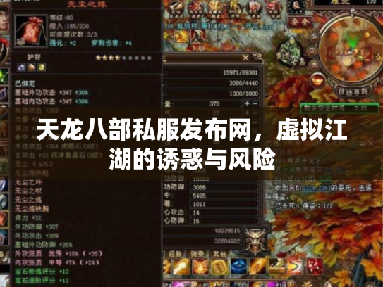 天龙八部私服发布网，虚拟江湖的诱惑与风险