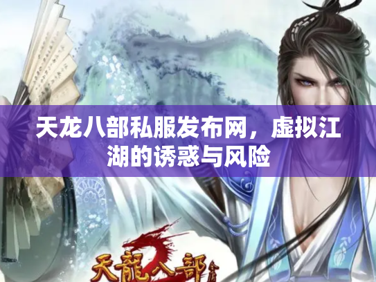 天龙八部私服发布网，虚拟江湖的诱惑与风险