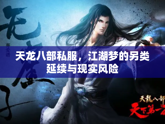 天龙八部私服，江湖梦的另类延续与现实风险