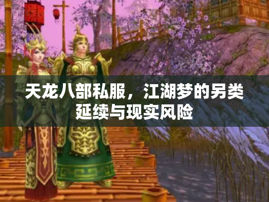 天龙八部私服，江湖梦的另类延续与现实风险
