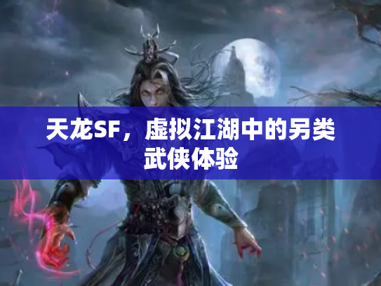 天龙SF，虚拟江湖中的另类武侠体验