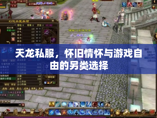 天龙私服，怀旧情怀与游戏自由的另类选择
