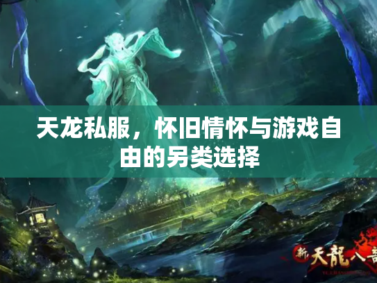 天龙私服，怀旧情怀与游戏自由的另类选择