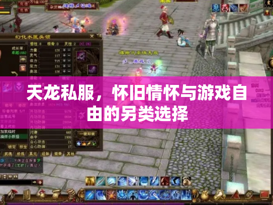 天龙私服，怀旧情怀与游戏自由的另类选择