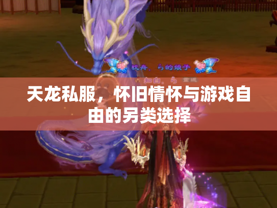 天龙私服，怀旧情怀与游戏自由的另类选择