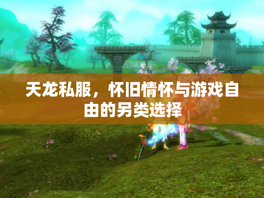 天龙私服，怀旧情怀与游戏自由的另类选择
