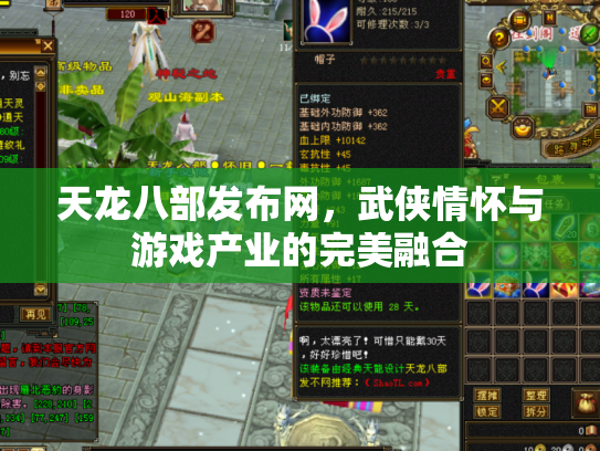 天龙八部发布网，武侠情怀与游戏产业的完美融合