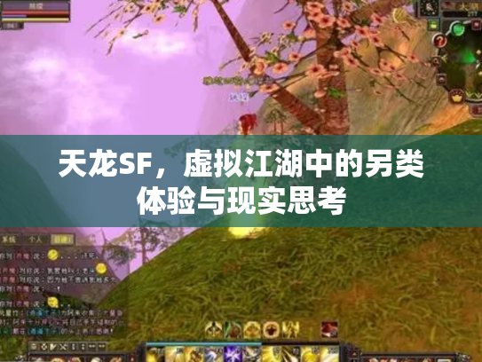 天龙SF，虚拟江湖中的另类体验与现实思考