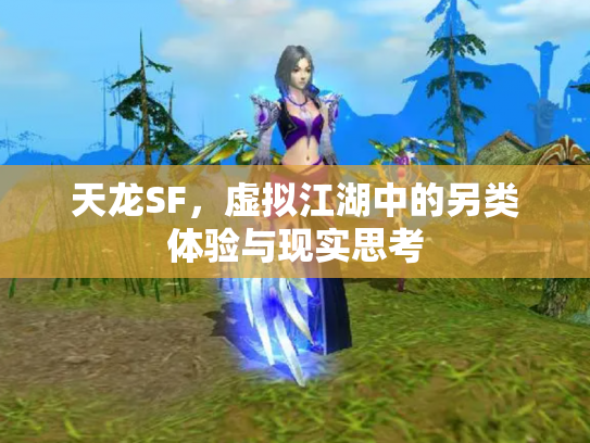 天龙SF，虚拟江湖中的另类体验与现实思考