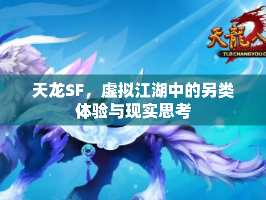 天龙SF，虚拟江湖中的另类体验与现实思考