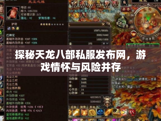 探秘天龙八部私服发布网，游戏情怀与风险并存