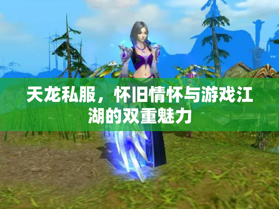 天龙私服，怀旧情怀与游戏江湖的双重魅力