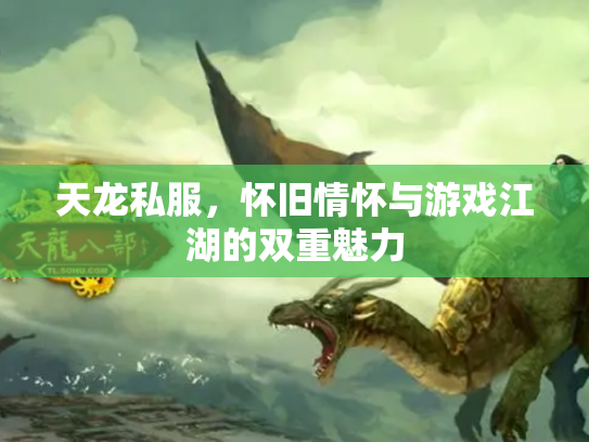 天龙私服，怀旧情怀与游戏江湖的双重魅力