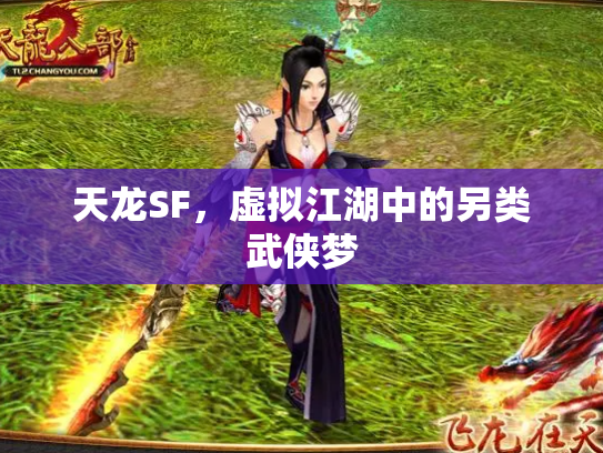 天龙SF，虚拟江湖中的另类武侠梦
