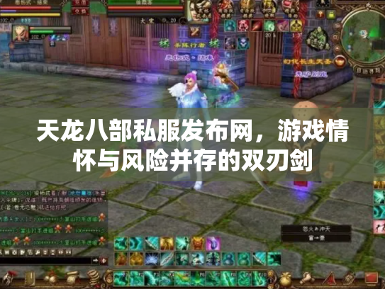 天龙八部私服发布网，游戏情怀与风险并存的双刃剑