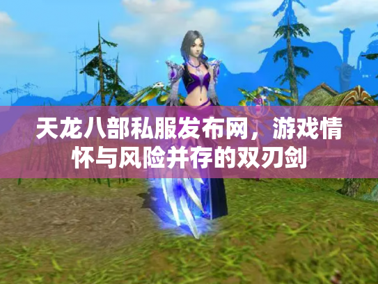 天龙八部私服发布网，游戏情怀与风险并存的双刃剑