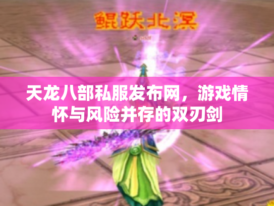 天龙八部私服发布网，游戏情怀与风险并存的双刃剑