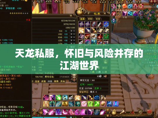 天龙私服，怀旧与风险并存的江湖世界