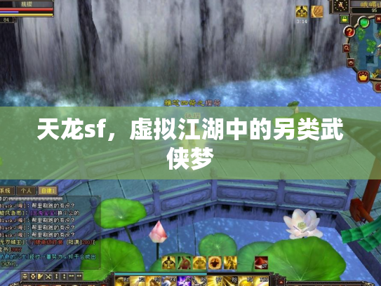 天龙sf，虚拟江湖中的另类武侠梦