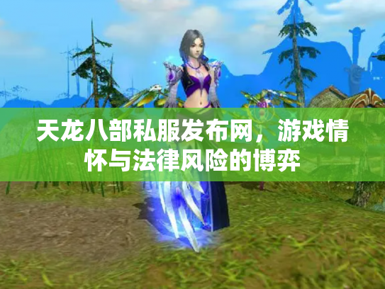 天龙八部私服发布网，游戏情怀与法律风险的博弈