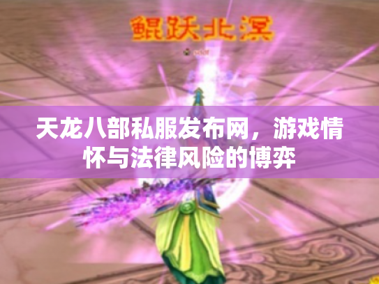天龙八部私服发布网，游戏情怀与法律风险的博弈
