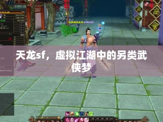 天龙sf，虚拟江湖中的另类武侠梦