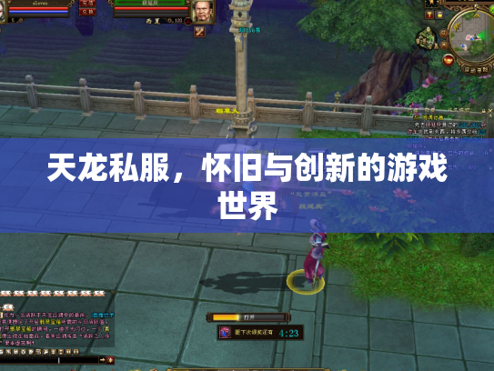天龙私服，怀旧与创新的游戏世界