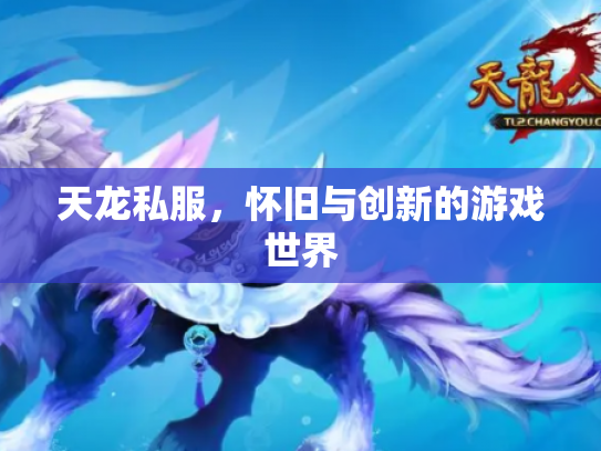 天龙私服，怀旧与创新的游戏世界